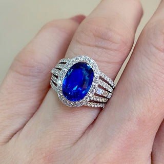 Ceylon Sapphire & Diamond Halo Ring