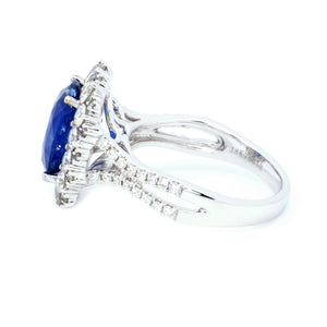 Diva Cushion Sapphire & Diamond Halo Ring